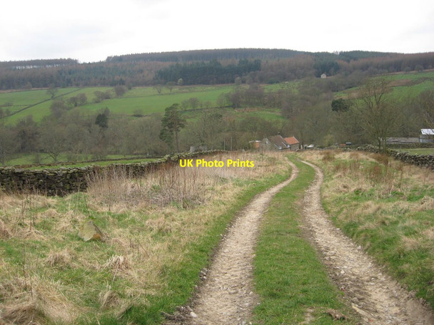 Photo 6"x4" Near Birch Farm Rosedale Abbey c2012