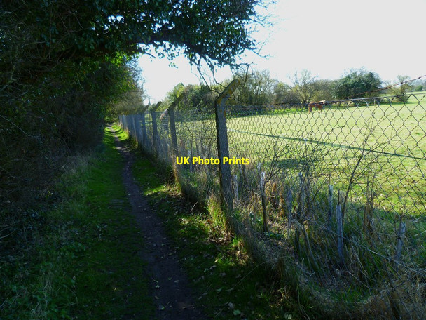 Photo 6"x4" Footpath south from Eastergate Lane Eastergate c2012