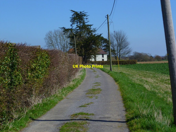 Photo 6"x4" The drive to Walberton Farm Barnham\/SU9604 c2012