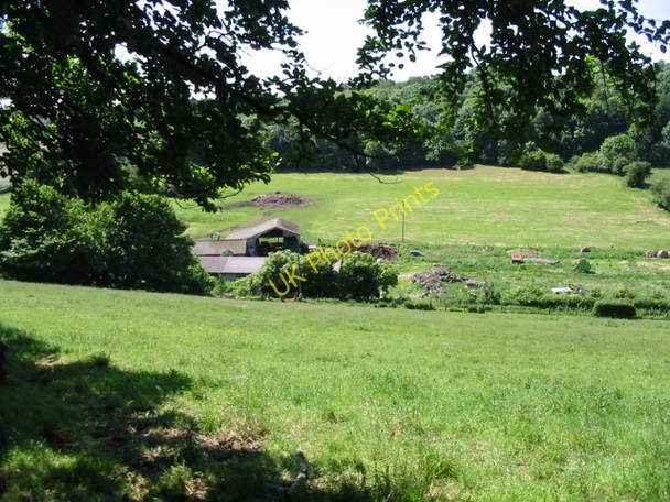 Photo 6"x4" Looking through the trees to Rakeshole Farm Selsted c2008