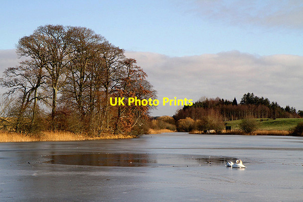 Photo 6"x4" A large pond at Alerigg Clarilaw\/NT5527 c2012