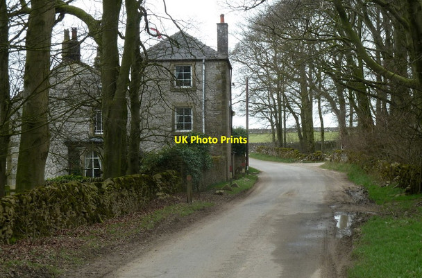 Photo 6"x4" Lane past Crossgate Farm Town Head\/SK1576 c2012