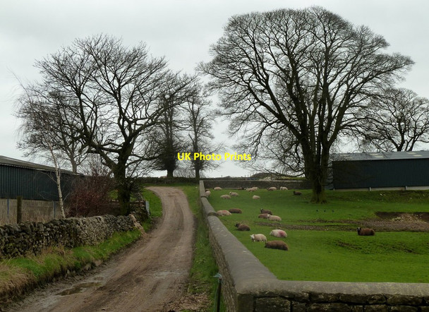 Photo 6"x4" Bridleway between farms in Wheston Wheston c2012