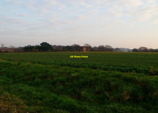 Photo 6"x4" Field south of Bosham Bosham Hoe c2012