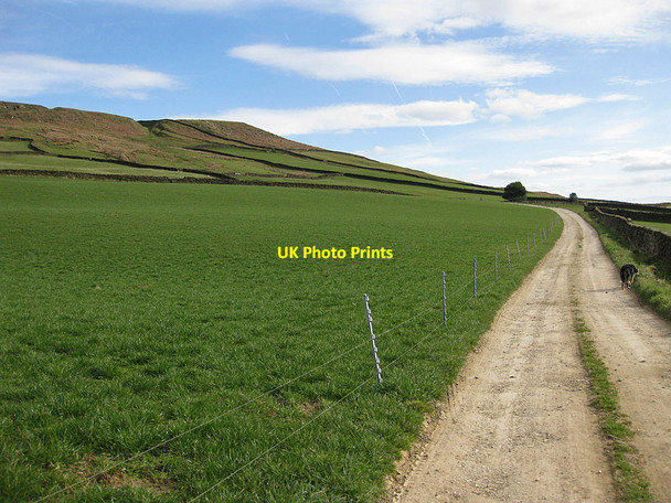 Photo 6"x4" Farm road heading SSE from Bragg Farm Low Mill\/SE6795 c2012