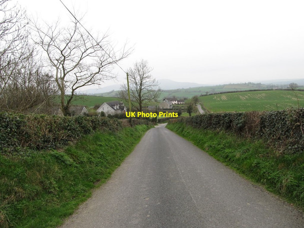 Photo 6"x4" View south-westwards along Rock Road Jerrettspass c2012