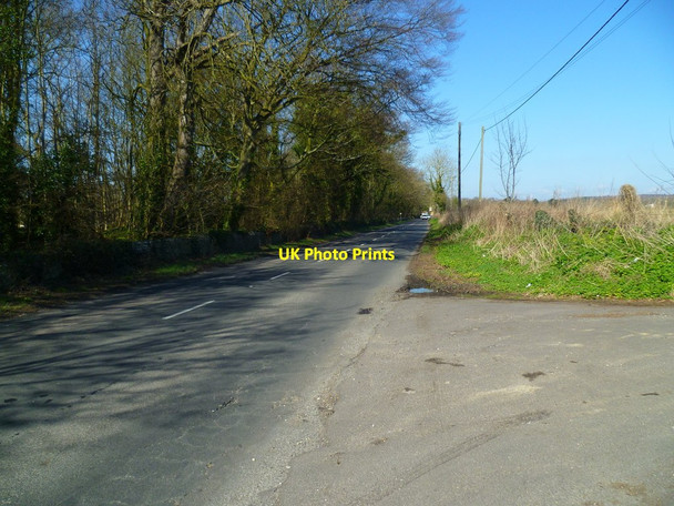 Photo 6"x4" Yapton Lane going north from the drive to Walberton Farm Barnham\/SU9604 c2012