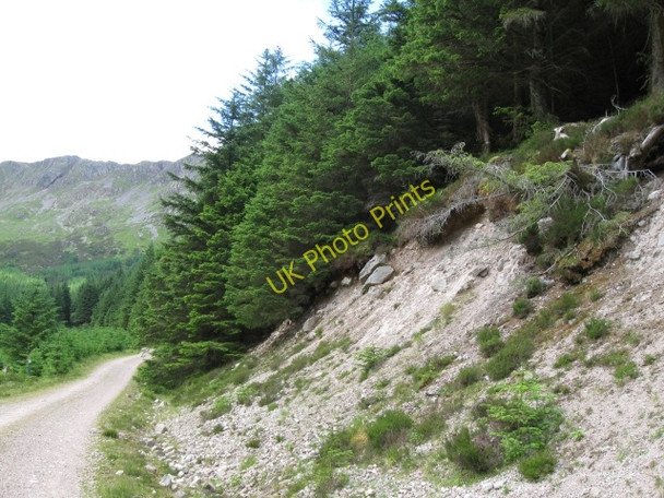 Photo 6"x4" Track, hillside South Ballachulish c2008