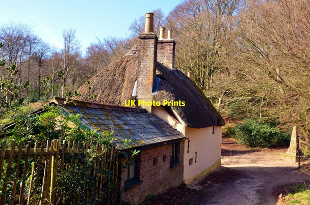 Photo 6"x4" Higher Bockhampton: Hardy's Cottage and Back Lane Higher Bockhampton c2012