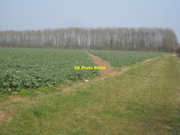 Photo 6"x4" Footpath to Normanby by Spital Owmby-by-Spital c2012