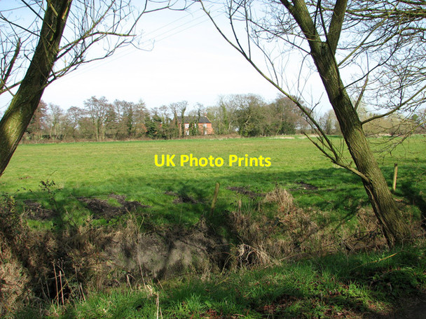 Photo 6"x4" Marsh pasture by Irstead Irstead Street c2012