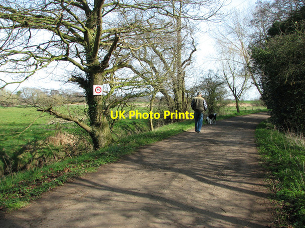 Photo 6"x4" Track to Browns Hill, Irstead Irstead Street c2012