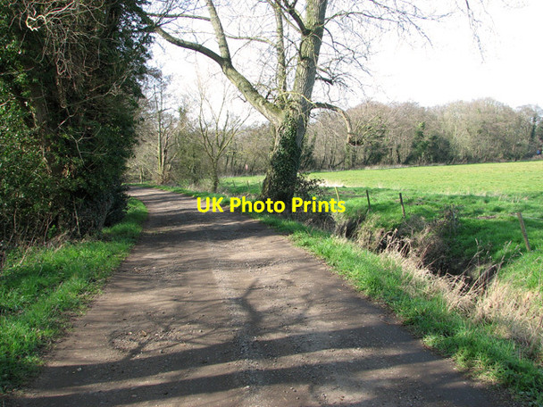 Photo 6"x4" Track from Browns Hill to Irstead Road, Irstead Irstead Street c2012