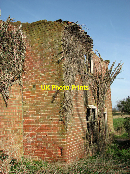 Photo 6"x4" Derelict cottage by Browns Hill Irstead Street c2012 P2