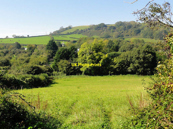 Photo 6"x4" Field near Higher Yalberton Collaton St Mary c2011