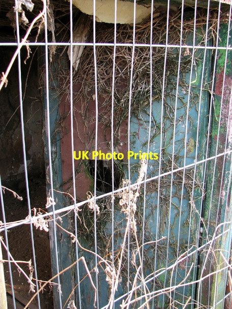 Photo 6"x4" Derelict cottage by Browns Hill Irstead Street c2012