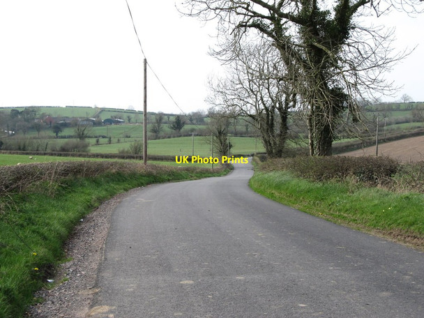 Photo 6"x4" Tierny Road approaching towards the junction with Ringclare Road Milltown\/J1436 c2012