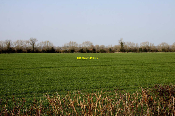 Photo 6"x4" Arable field near Charney Bassett Charney Bassett c2012
