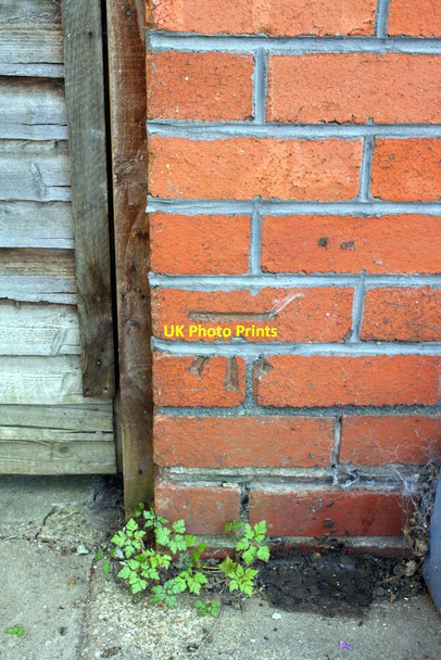Photo 6"x4" Benchmark on #136 Wordsworth Road Bristol c2012