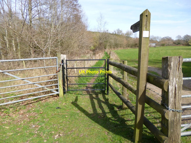 Photo 6"x4" Stuckton, gate Fordingbridge c2012