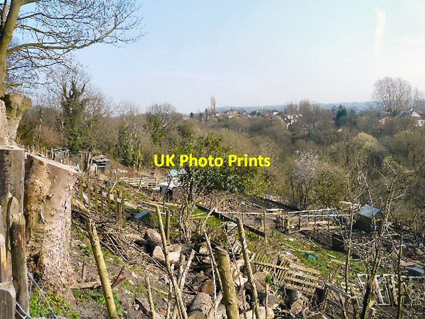 Photo 6"x4" Woodend Allotments Hyde\/SJ9494 c2012