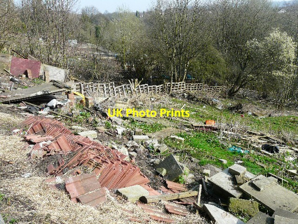 Photo 6"x4" Woodend Allotments Hyde\/SJ9494 c2012