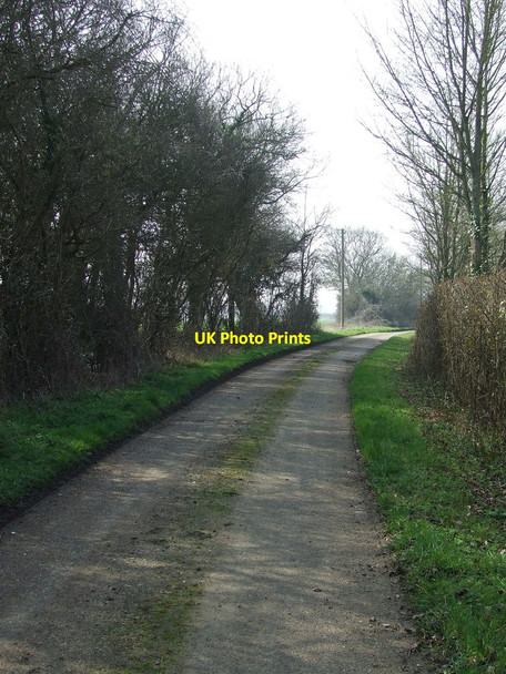 Photo 6"x4" Upper Farm Road Ashen\/TL7442 c2012