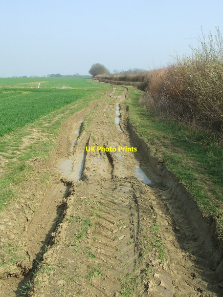 Photo 6"x4" Muddy Track Ashen\/TL7442 c2012