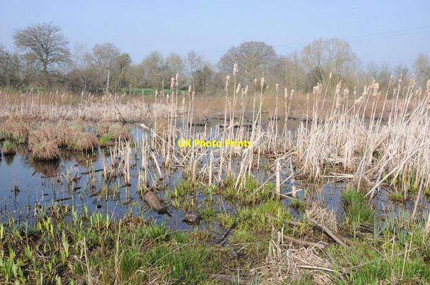 Photo 6"x4" Wetland area beside the Severn Hawford c2012