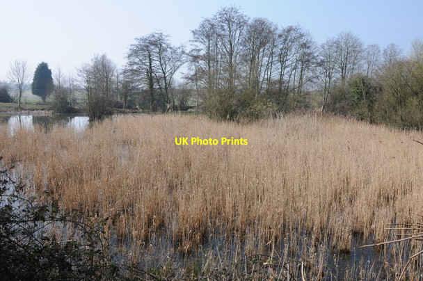 Photo 6"x4" Wetland area, Grimley Grimley c2012