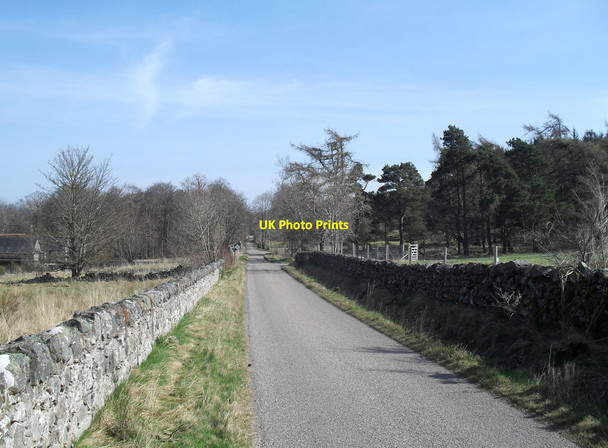 Photo 6"x4" The road beside Gledfield House Dounie\/NH5690 c2012