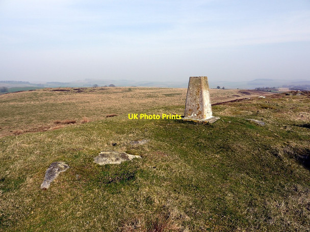 Photo 6"x4" Barcombe Trig Point Thorngrafton c2012