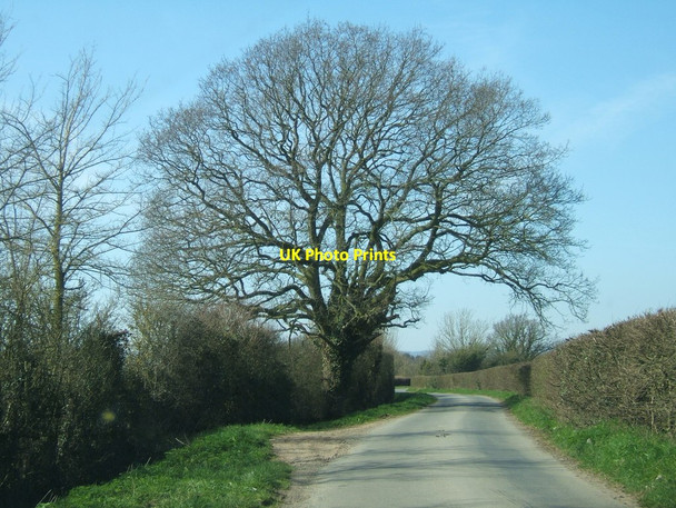 Photo 6"x4" Kington Road near Moor Farm Cowhill\/ST6091 c2012
