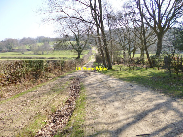 Photo 6"x4" Gorley, bridleway Furze Hill\/SU1711 c2012