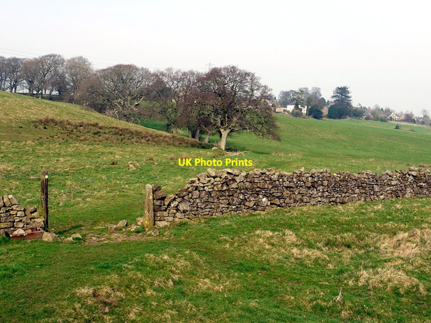 Photo 6"x4" Footpath to West End Town Birkshaw\/NY7765 c2012