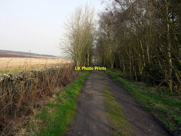 Photo 6"x4" Haresby Road (west end) Thorngrafton c2012