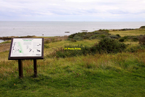 Photo 6"x4" Information board in Whitburn Coastal Park Whitburn\/NZ4062 c2011