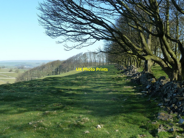 Photo 6"x4" Woodland edge on Bole Hill Sheldon\/SK1768 c2012