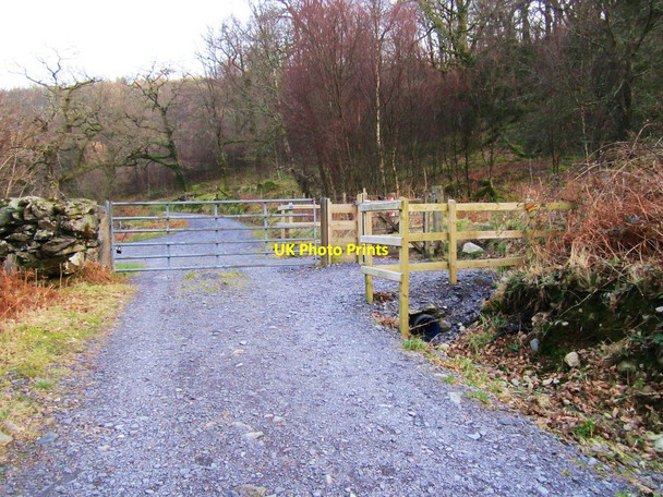 Photo 6"x4" Track to Coed Bryn-engan Capel Curig c2012