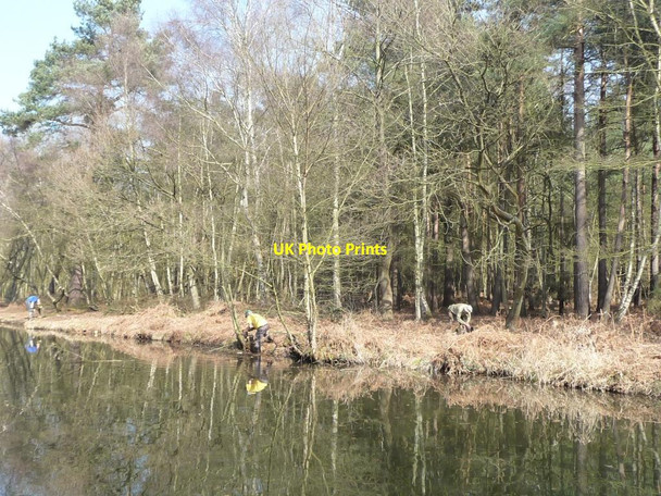 Photo 6"x4" Guardians of the Basingstoke Canal, near Mytchett Farnborough\/SU8754 c2012