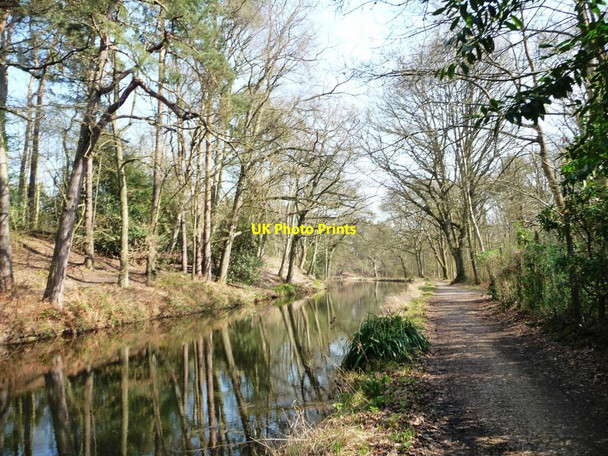 Photo 6"x4" The Basingstoke Canal Pirbright Camp c2012