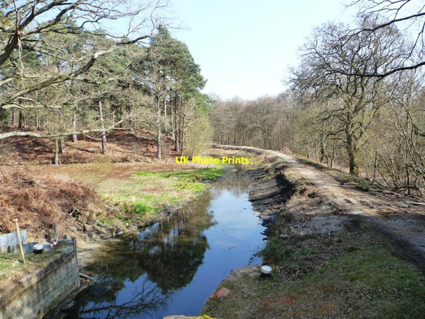 Photo 6"x4" A surprise - no water in the Basingstoke Canal Pirbright Camp c2012