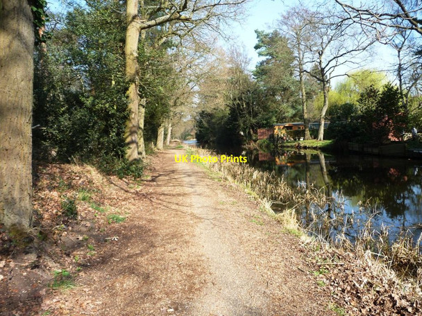 Photo 6"x4" The Basingstoke Canal Sheets Heath c2012