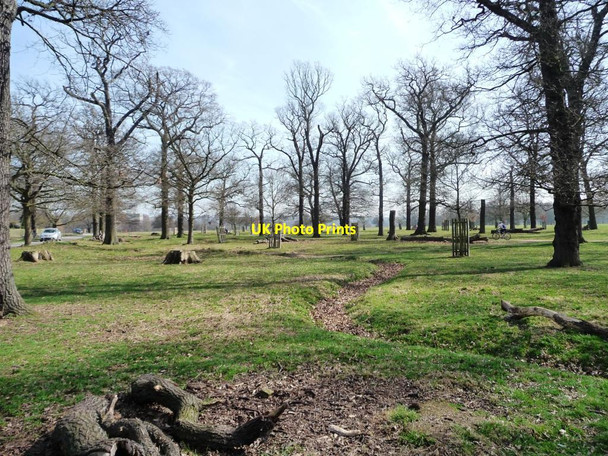 Photo 6"x4" Richmond Park by East Sheen Gate Richmond\/TQ1874 c2012