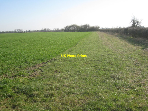 Photo 6"x4" View towards a pond Springthorpe c2012