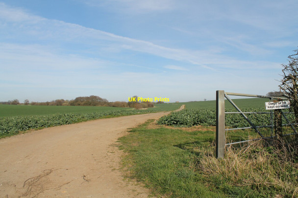 Photo 6"x4" Track towards Oak Holt Keisby c2012
