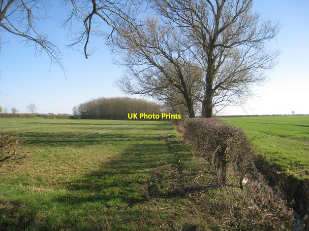 Photo 6"x4" View towards an unnamed wood Hemswell c2012