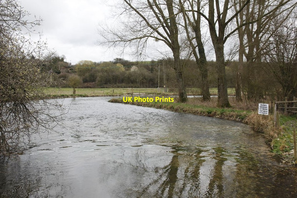 Photo 6"x4" Down Park Stream Bossington\/SU3331 c2012