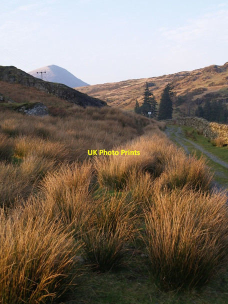 Photo 6"x4" Llugwy Valley Track Capel Curig c2012