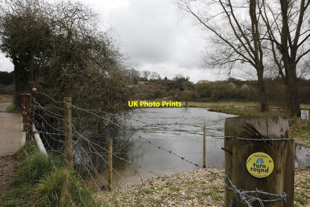 Photo 6"x4" Turn Round Bossington\/SU3331 c2012